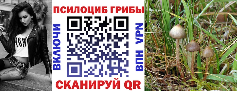 Купить закладки  Избербаш  Псилоцибиновые грибы мухоморы 